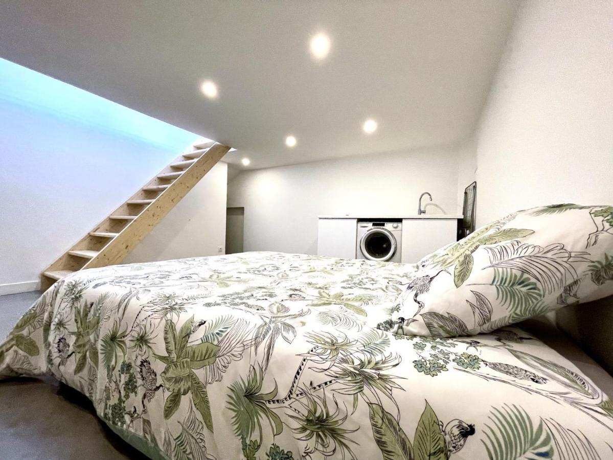 Jade Duplex Clim Proche Hopital Apartment La Tronche  Luaran gambar